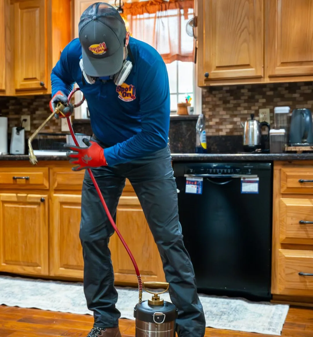 A Spot On technician inspecting a kitchen interior for pest activity in an East Texas home