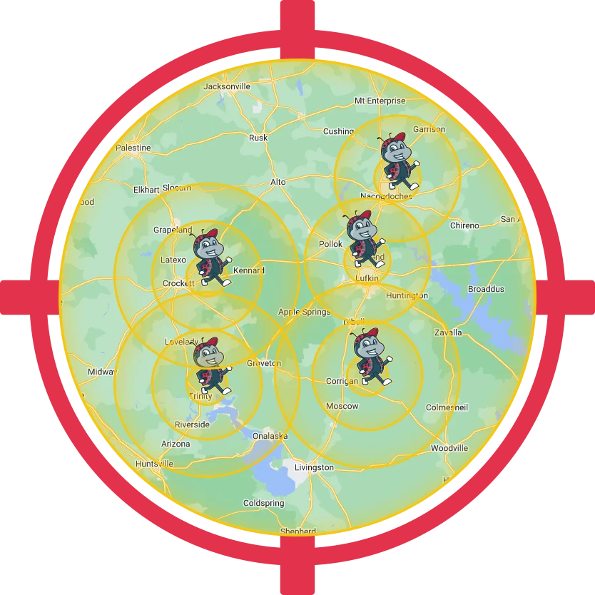 map img v12