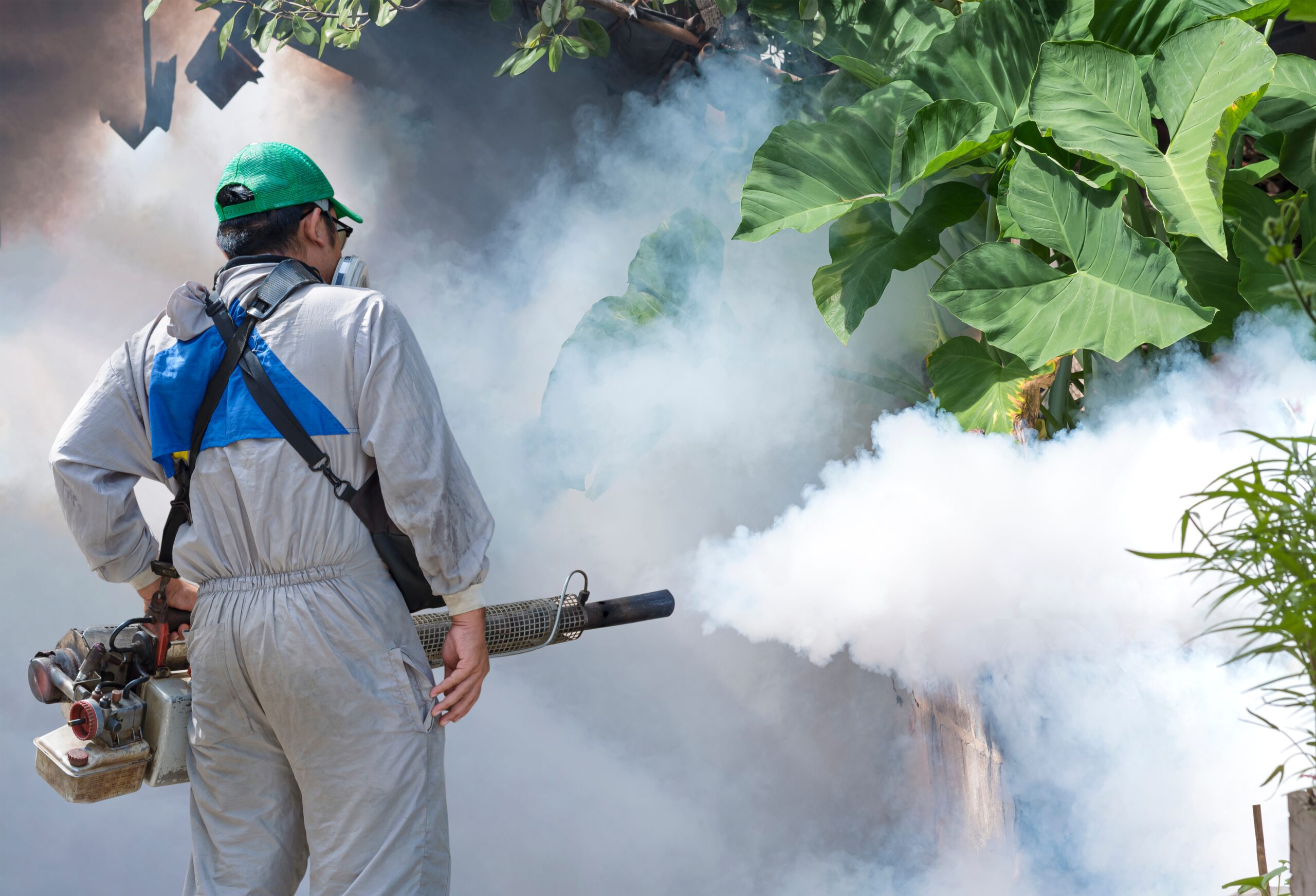 mosquito control services