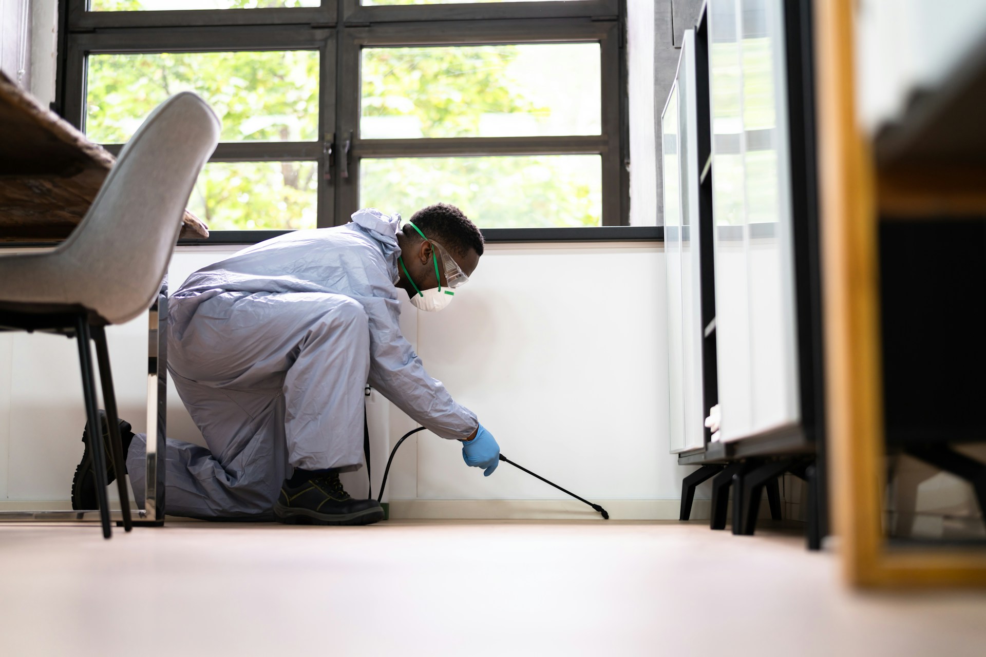 pest control
