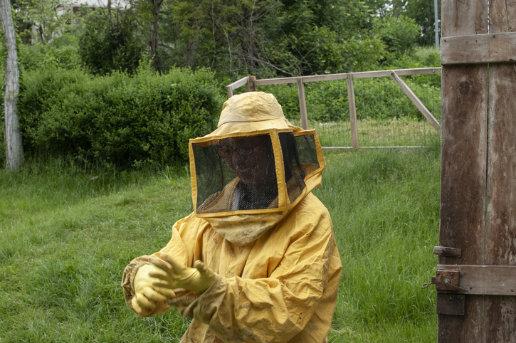 Wasp Nest Removal in Nacogdoches, TX 1 Extraction of honey from a hive