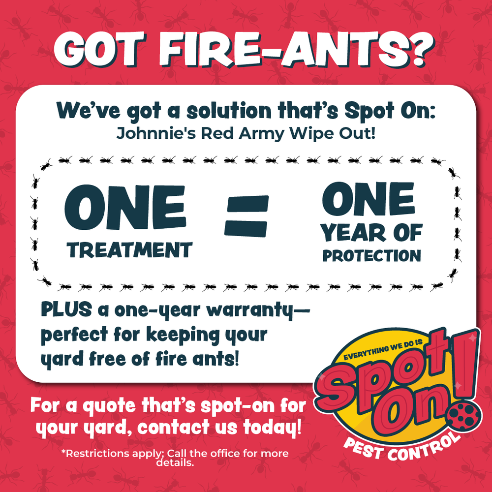 Fire Ant Ad