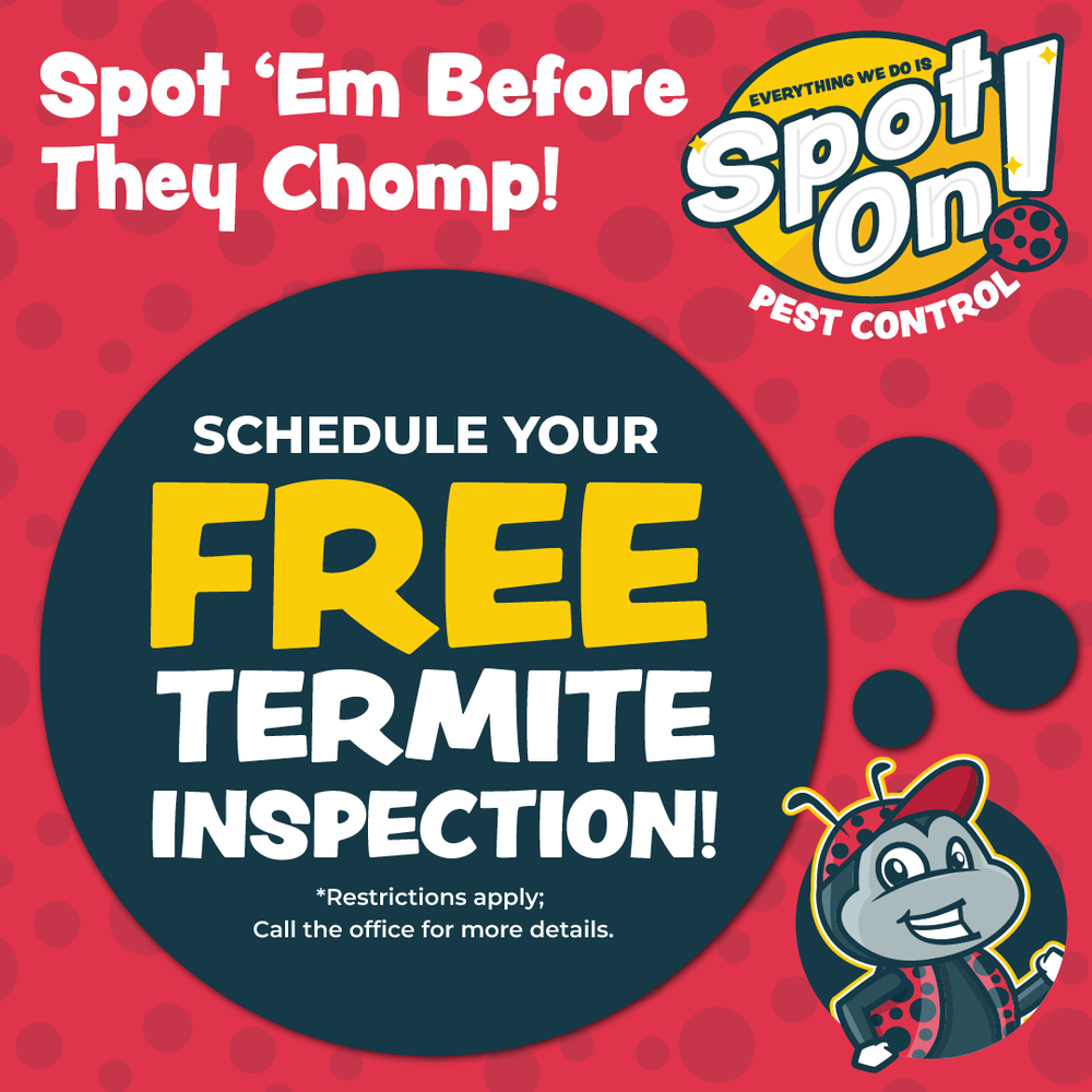 Free Termite ad