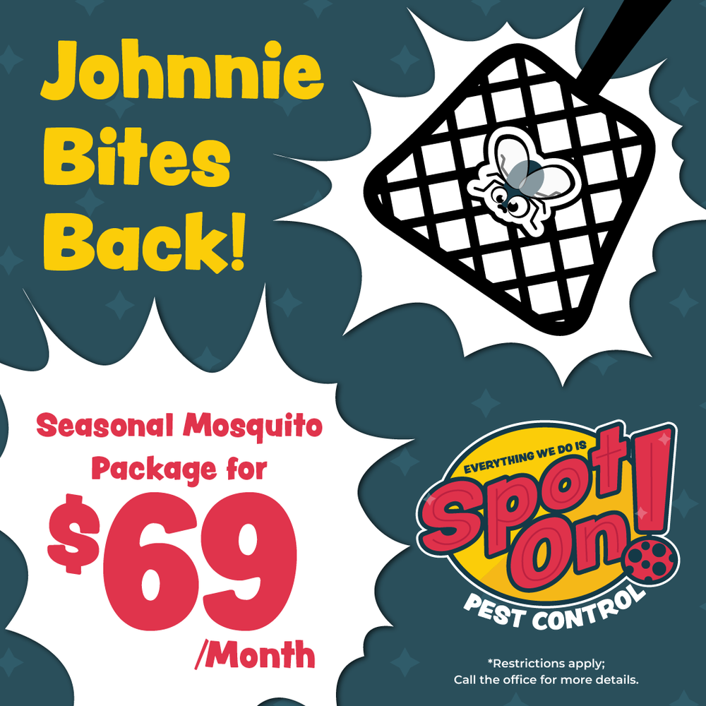 Mosquito Ad
