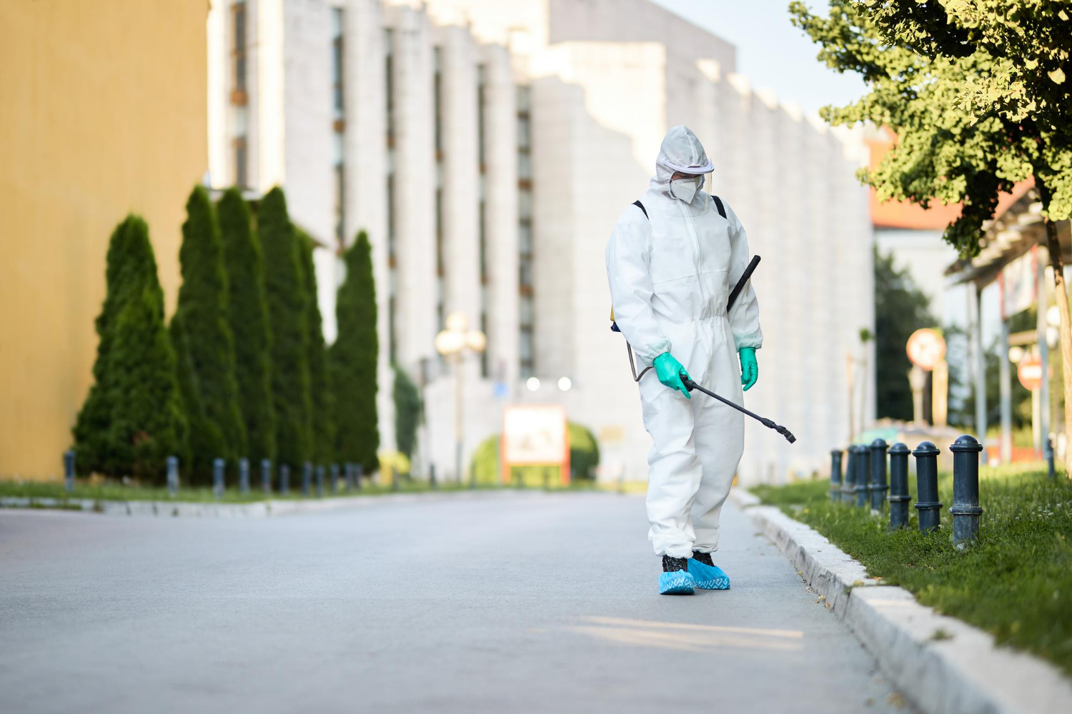 Blog 2 flea control