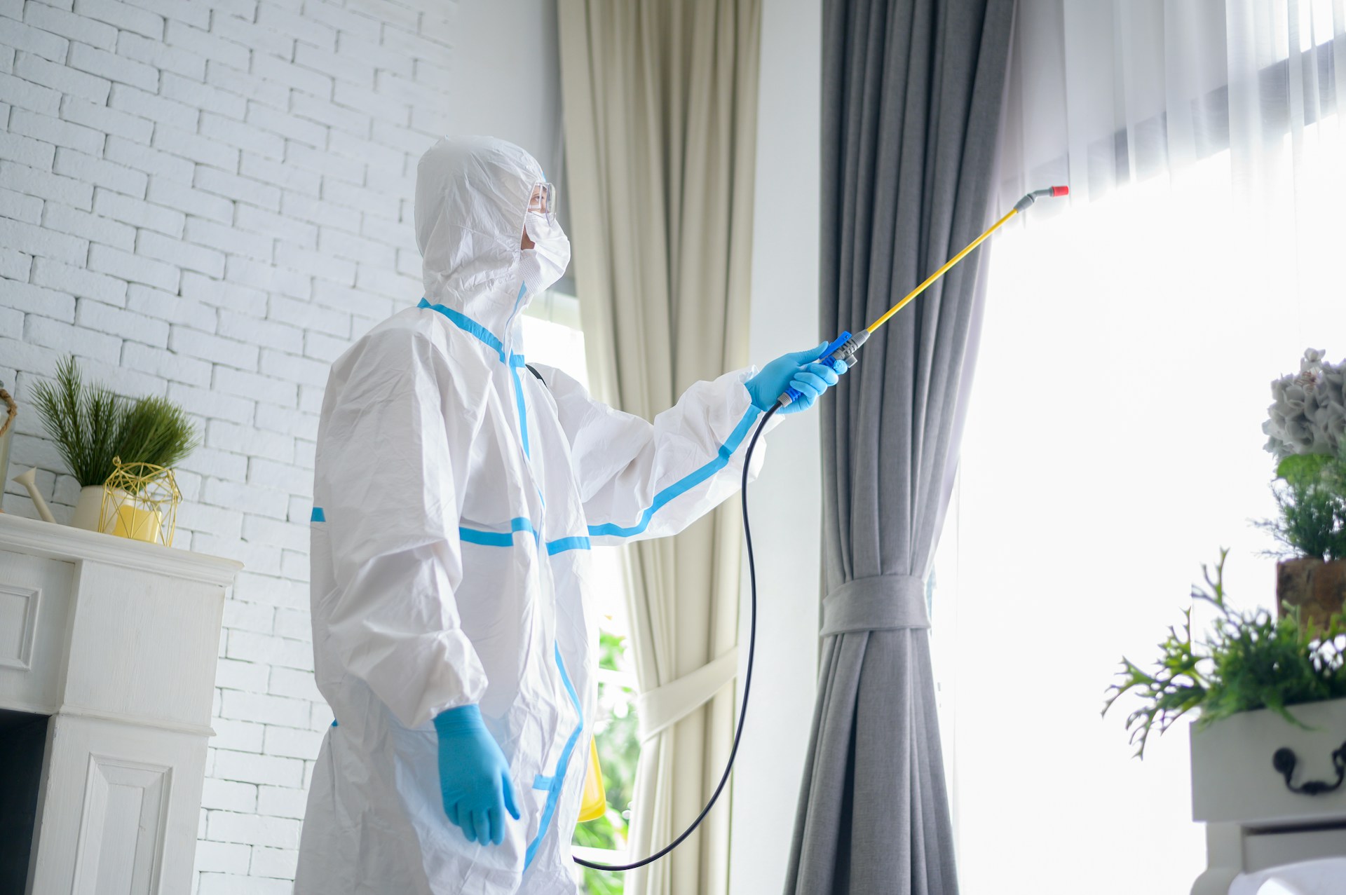 Blog 21 pest exterminator